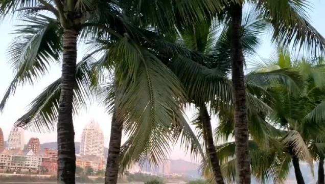 带着微博去云南